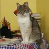 Отзыв от Прасковья Рыбакова